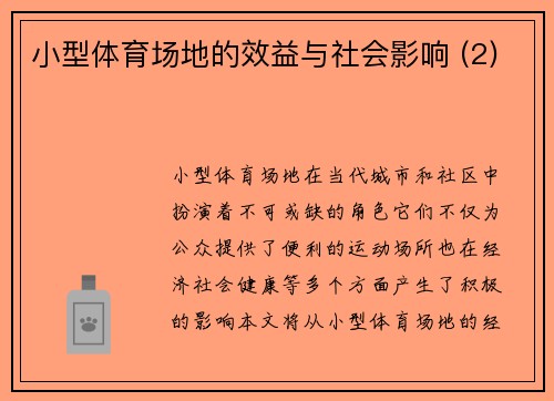 小型体育场地的效益与社会影响 (2)